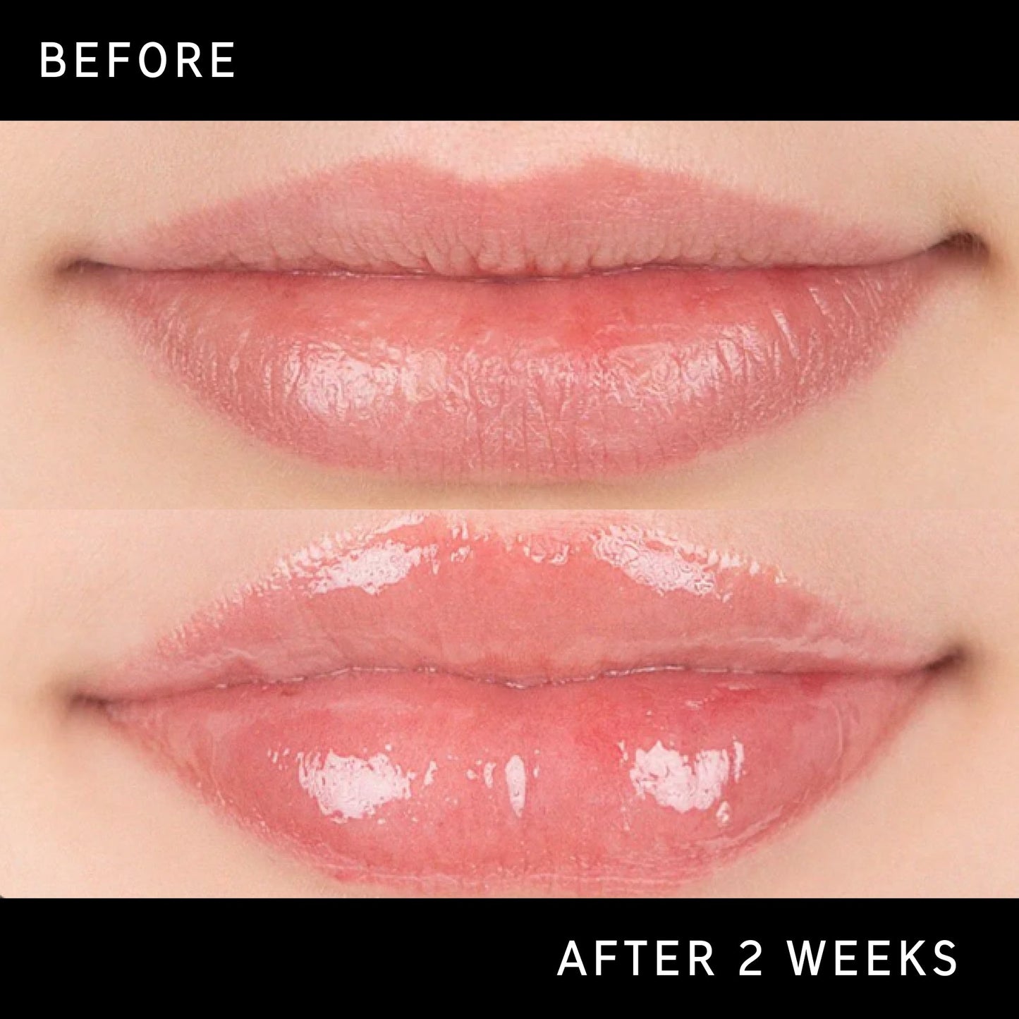 tripeptide-plumping-lip-balm-n8 DTC-Top15_Amends_Tripeptide-Lip_B_A.jpg